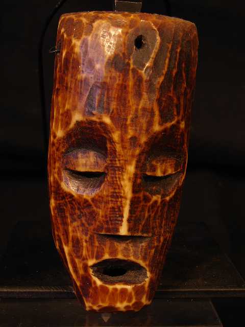 Lega_024.JPG (48,903 bytes)